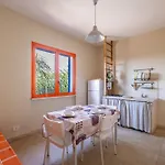 Terra E Colori Bilo 5